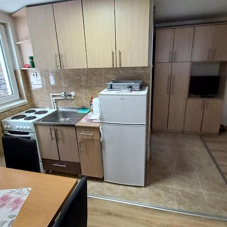 Kopaonik Apartman Aleksandar Exterior foto